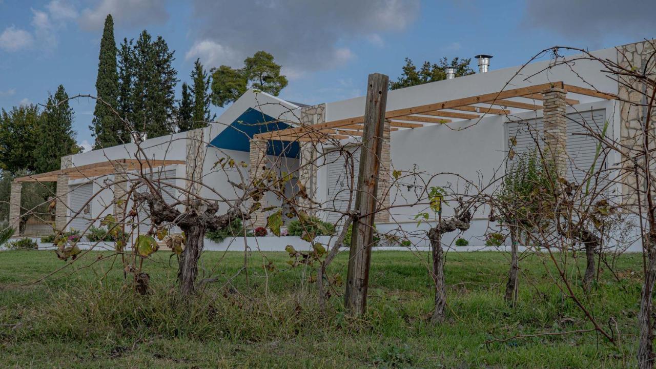 Atrium Vinea Brintziki Winery Apartment Smila Ngoại thất bức ảnh