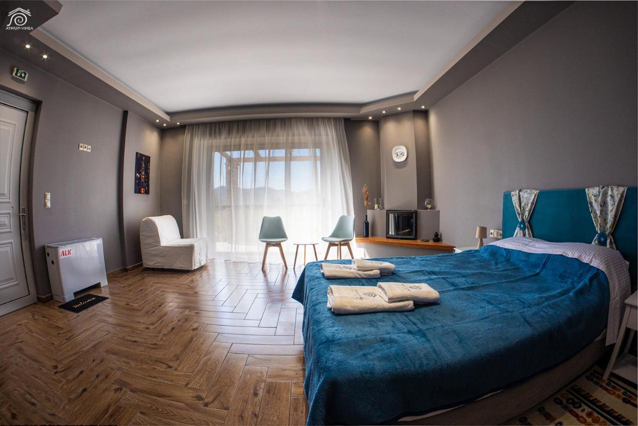 Atrium Vinea Brintziki Winery Apartment Smila Ngoại thất bức ảnh