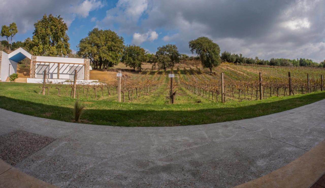 Atrium Vinea Brintziki Winery Apartment Smila Ngoại thất bức ảnh