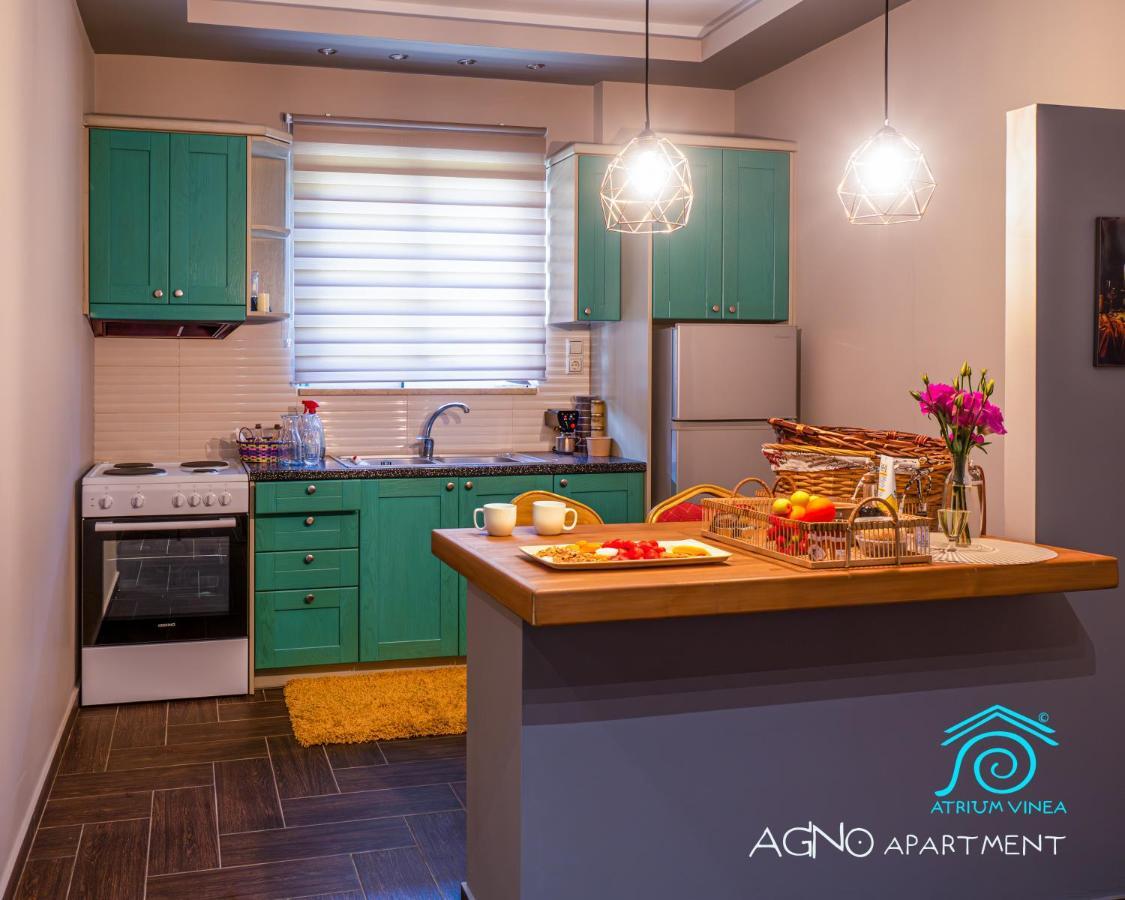 Atrium Vinea Brintziki Winery Apartment Smila Ngoại thất bức ảnh