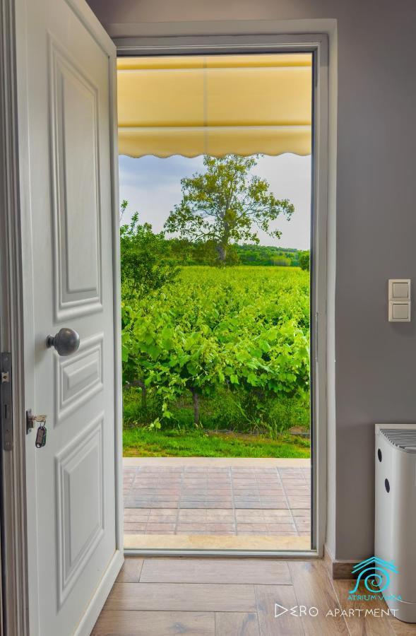 Atrium Vinea Brintziki Winery Apartment Smila Ngoại thất bức ảnh