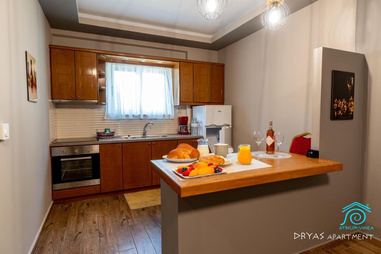 Atrium Vinea Brintziki Winery Apartment Smila Ngoại thất bức ảnh
