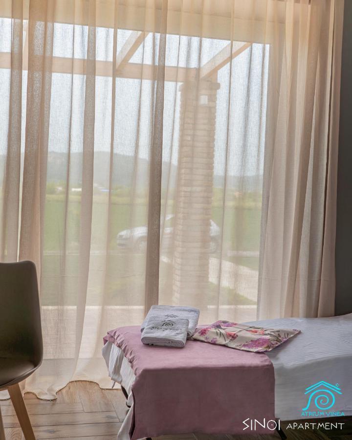 Atrium Vinea Brintziki Winery Apartment Smila Ngoại thất bức ảnh
