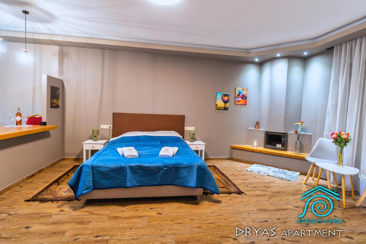 Atrium Vinea Brintziki Winery Apartment Smila Ngoại thất bức ảnh