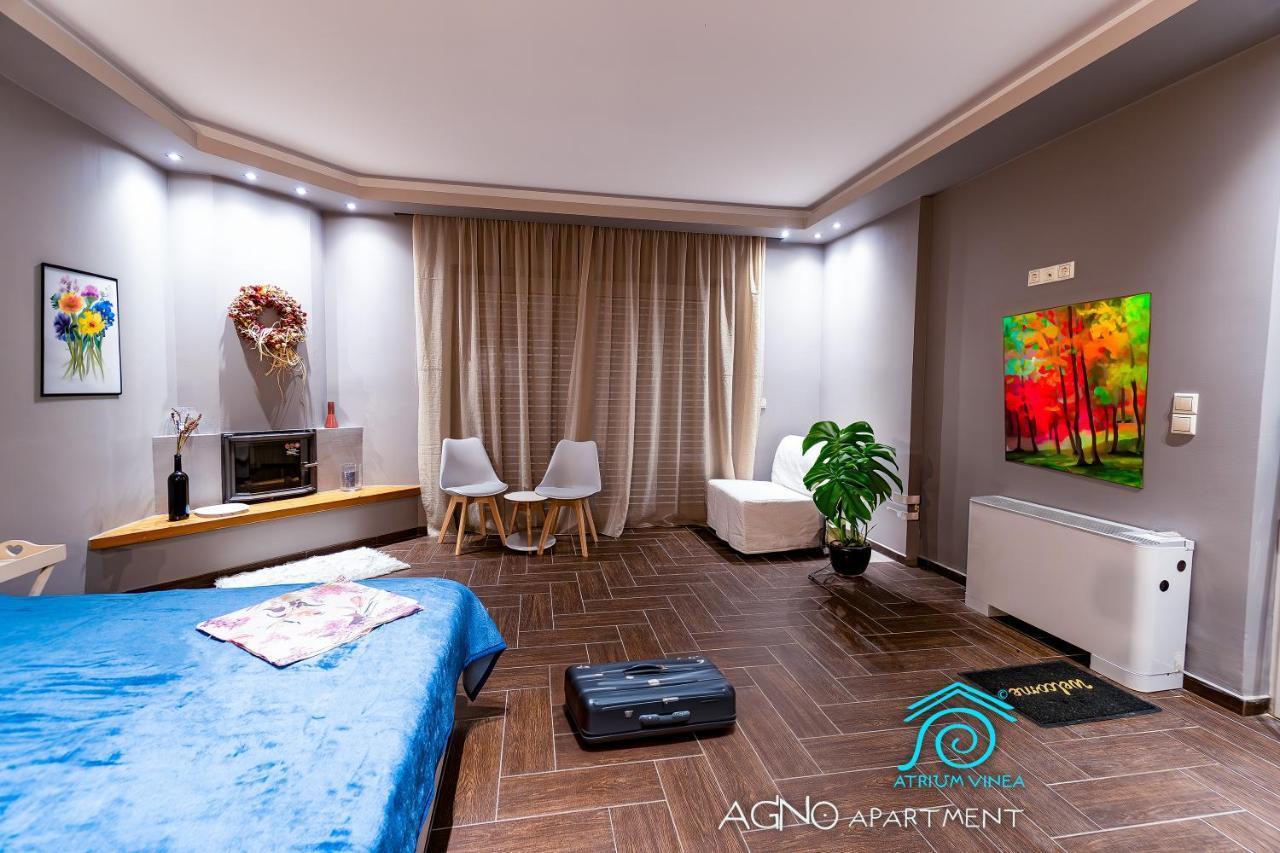 Atrium Vinea Brintziki Winery Apartment Smila Ngoại thất bức ảnh