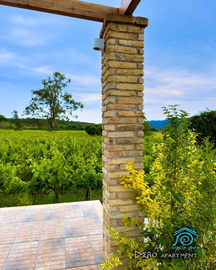 Atrium Vinea Brintziki Winery Apartment Smila Ngoại thất bức ảnh